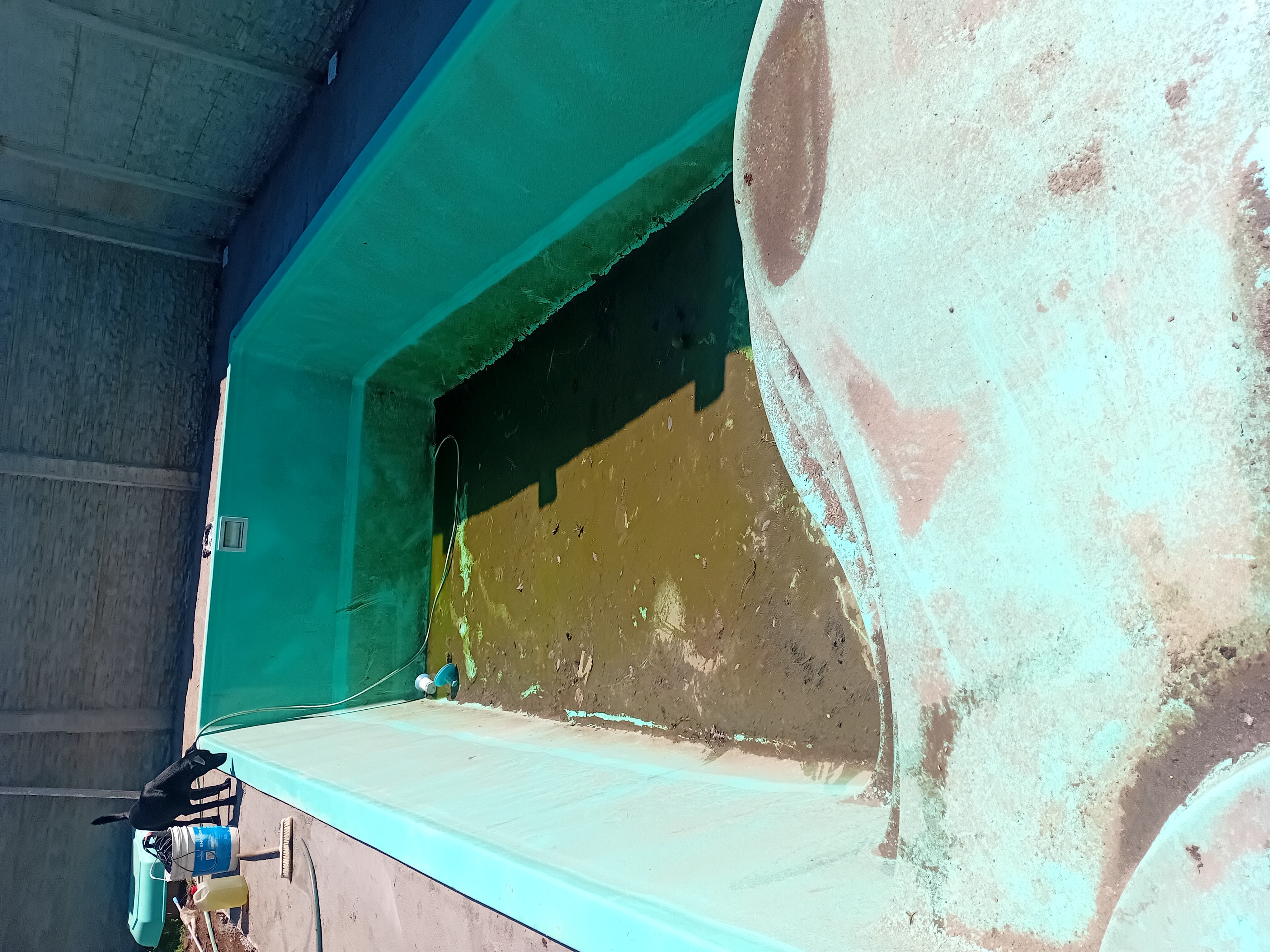 Piletero en Moreno — trabajo 1