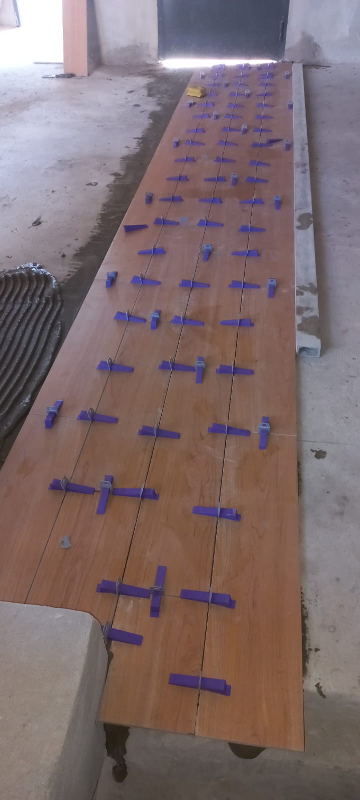 Trabajo 1