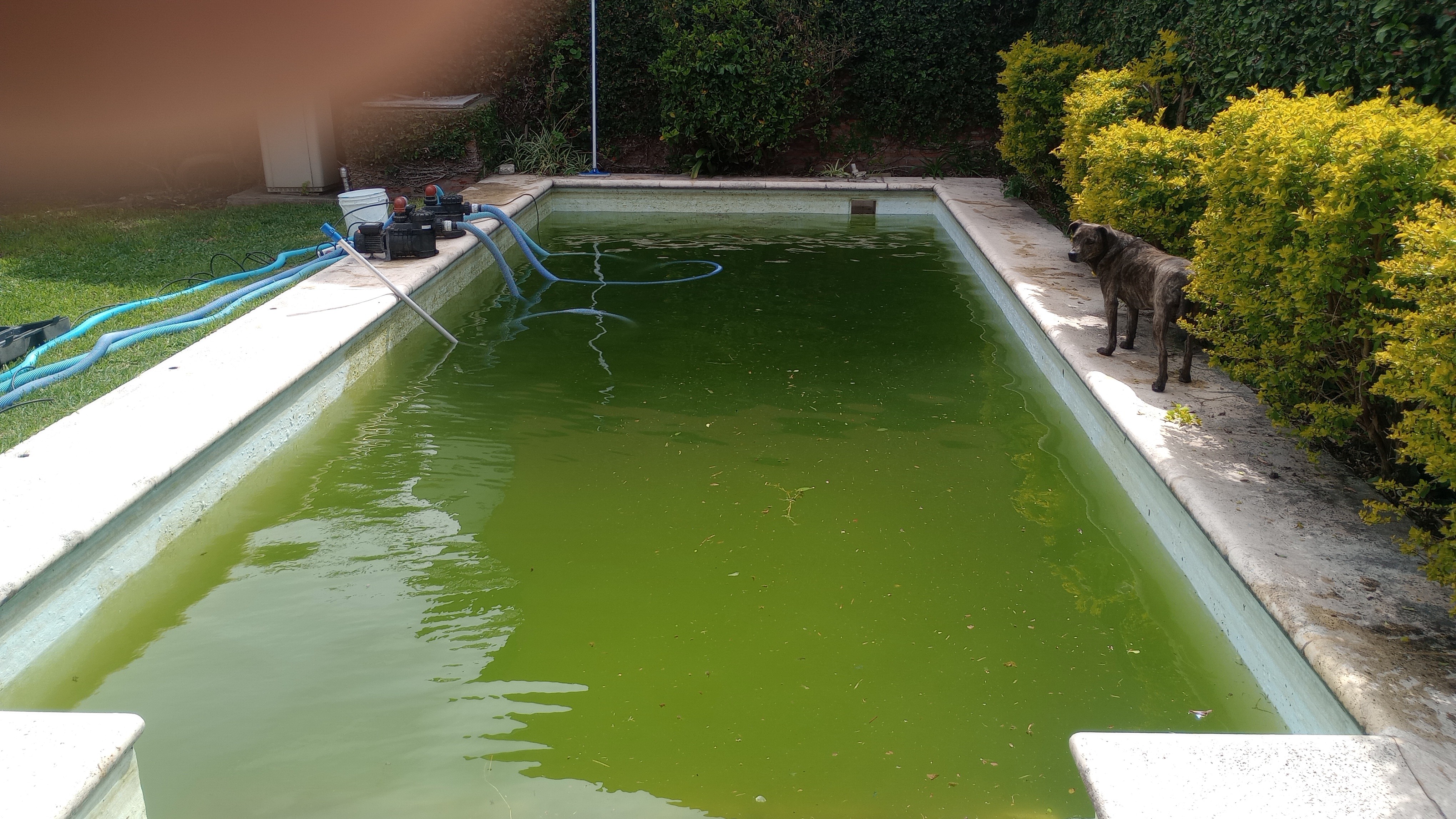 Piletero en fragata Sarmiento 4215 — trabajo 5