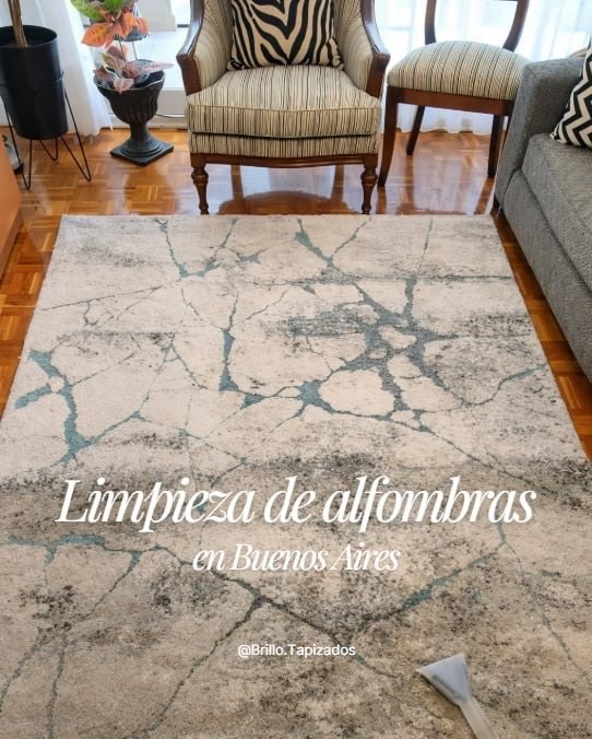 Limpieza tapizados en Buenos Aires — trabajo 2